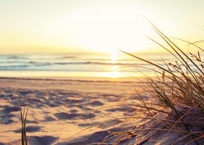 Looking out over a sandy beach towards the sun over the ocean