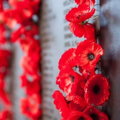 Photograph of poppies at the Commemorative Roll at the Australian War Memorial